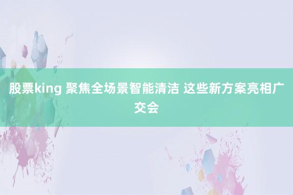 股票king 聚焦全场景智能清洁 这些新方案亮相广交会