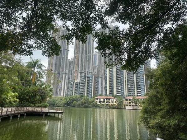 棒棒策略 深圳楼市，你敢不敢玩一把大的