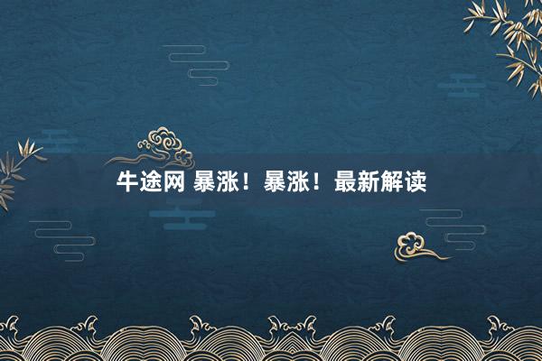 牛途网 暴涨！暴涨！最新解读