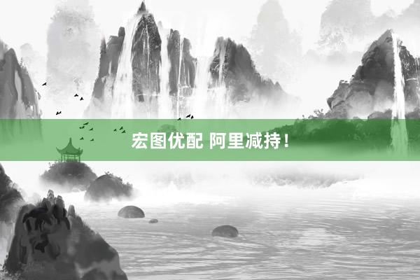 宏图优配 阿里减持！