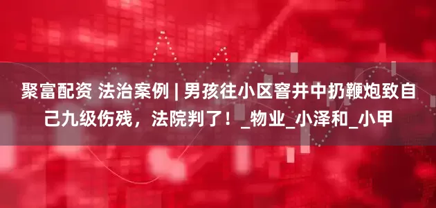 聚富配资 法治案例 | 男孩往小区窨井中扔鞭炮致自己九级伤残，法院判了！_物业_小泽和_小甲